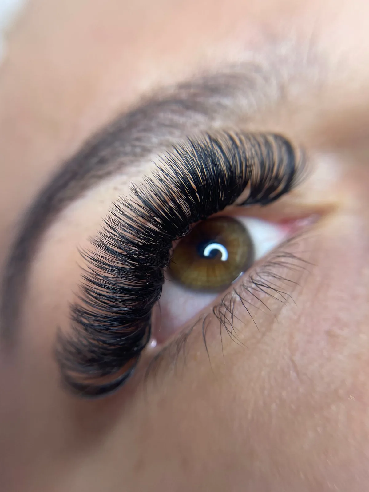 Close-up of a finished Russian volume lash set on a client's eye, dark full lashes with a groomed brow above
